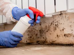 Professional Mold Removal in Farmersville, TX